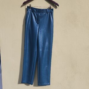 Babaton Teal Leather Garment